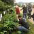 Free Trees 5/30/26 7AM at 4340 13th St Boulder 5 thumbnail