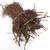 Bare Root Strawberry Plants - Time for Fall Planting 1 thumbnail
