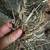 Hay bales 3 thumbnail
