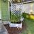 Fern, flower and pots 3 thumbnail