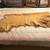 Vintage Tanned Deer Hide Skin Buckskin 3 thumbnail