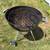 Weber charcoal grill 3 thumbnail