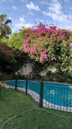 Excelente casa en palermo 1