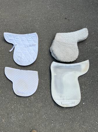 Horse hunter saddle pads 1