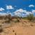 Diamond Bell Ranch 1.35 Acres Lot/Land  - $35,000 10 thumbnail