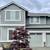 Exterior/Interior Acrylic Paint (Rare Gray) 4 thumbnail