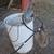 Compost Tea Maker 1 thumbnail