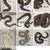 Pet Snakes 3 thumbnail