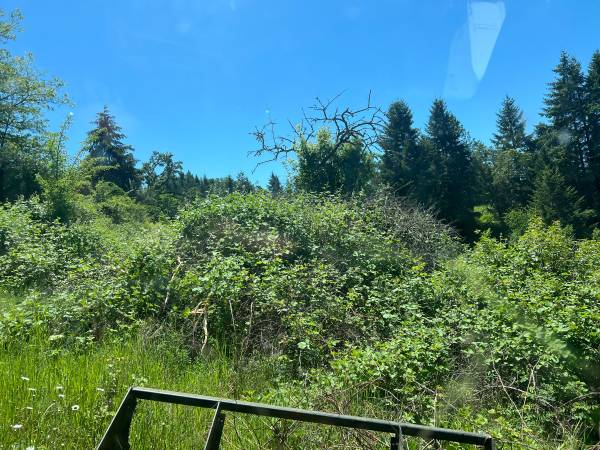 Brush Clearing - Open Acre Field Mowing 1