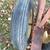 New Holland Hay Rake 2 thumbnail