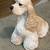 Vintage Sandicast Cocker Spaniel Sculpture By Sandra Bruce 1 thumbnail