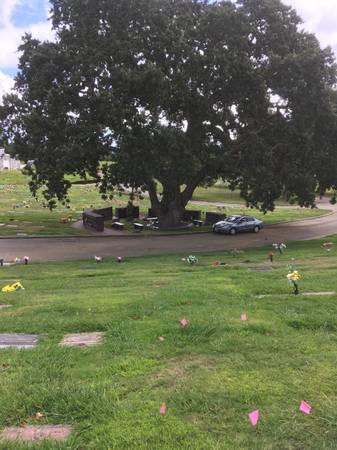 Two single Cemetery Plots Plot Oakmont Memorial Park, Lafayette, CA 1