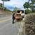 STUMP GRINDING, tree work, CHIPPING, trimming, firewood splitting 6 thumbnail