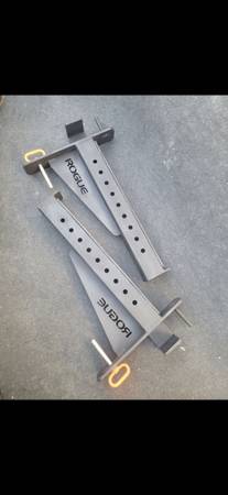 Rogue safety spotter arms 💪 1
