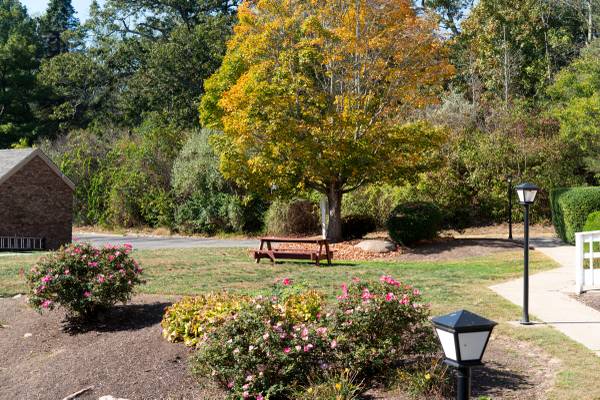 $1,800 / 500ft2 - Studio (Shelton)64010164179329122