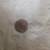 Quarter Dollar for sale 1 thumbnail