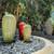 1+1 in Amazing Burbank ~ Picnic Area ~ Courtyard ~ Large Closets 17 thumbnail