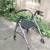 Walker foldable with seat 2 thumbnail
