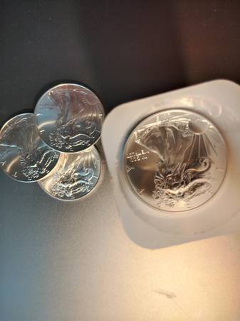 Silver Eagle 1oz Coins 20 1