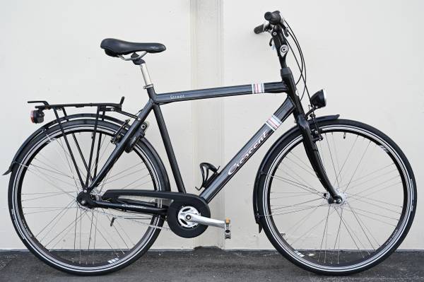 Crescent Street - Swedish Commuter Bike, Nexus 8-Speed, Rear Rack - LG 1