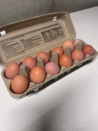Farm Fresh Eggs 1
