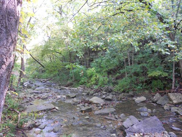 $1,650 / 3br - 1456ft2 - 3 Bedroom 2 Bath home on large wooded lot (Hollister, MO)63754856176513122