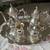 Silver Holloware Coffee, Tea, Creamer, Sugar set 1 thumbnail