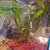 Guppies 3 thumbnail