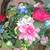 Large 28"t Door Wall Wicker Grapevine BASKET w/ Flowers 2 thumbnail
