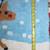 Christmas Reindeer Christmas Accent Rug 5 thumbnail
