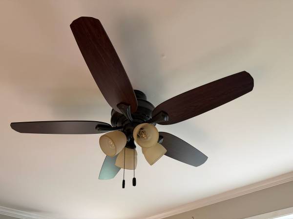 Ceiling Fan 1