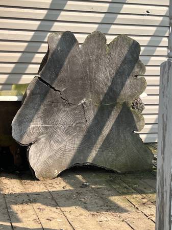Large wood slab