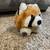 4" Raccoon Stuffie 3 thumbnail