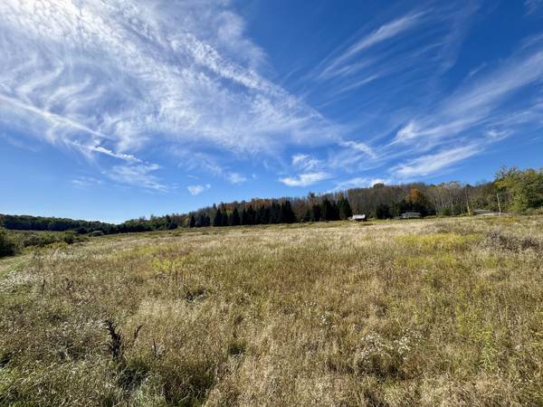 $234,900 / 400ft2 - 99 acres WOODS and TILLABLE LAND with CABIN and POND in Belfast NY (Belfast, NY)63986350338690123