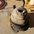 Shop vac 1 thumbnail