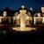 Irrigation & Outdoor Lighting Systems InstallationService 5 thumbnail
