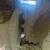 2000 312 BL Cat 5 thumbnail