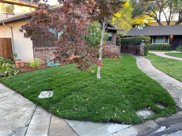 AFFORDABLE LANDSCAPE & MAINTENANCE  /  ===== 1