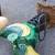 Playsystems Parrot Spring Rider 2 thumbnail