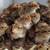 Northern Bobwhite Quail 3 thumbnail