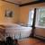Beautiful . Bright Two Bedrooms Character Apartment - AVAILABLE IMMEDI 8 thumbnail