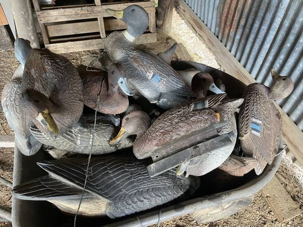 Duck Decoys 1