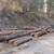Firewood 2 thumbnail