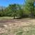 Forestry Mulching & Land Clearing 10 thumbnail
