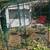Omlet outdoor catio 3 thumbnail