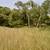 Prospective Missouri River Property 16 thumbnail