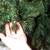 CHRISTMAS TREE Fiber Optic Multi Color Changing Light Up 4 Feet In Box 11 thumbnail