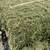 2025 Premium Horse Quality Hay (Alfalfa, Orchard-Mix, Pure Orchard 4 thumbnail
