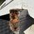 General Contractor/Handyman/Concrete/Dry Rot/Drywall Repair/Painting 8 thumbnail