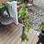 Beautiful succulents 9 thumbnail